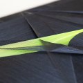 Cromer Series 2 (detail)